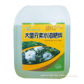 N11% P8% K6% Water Soluble Fertilizer